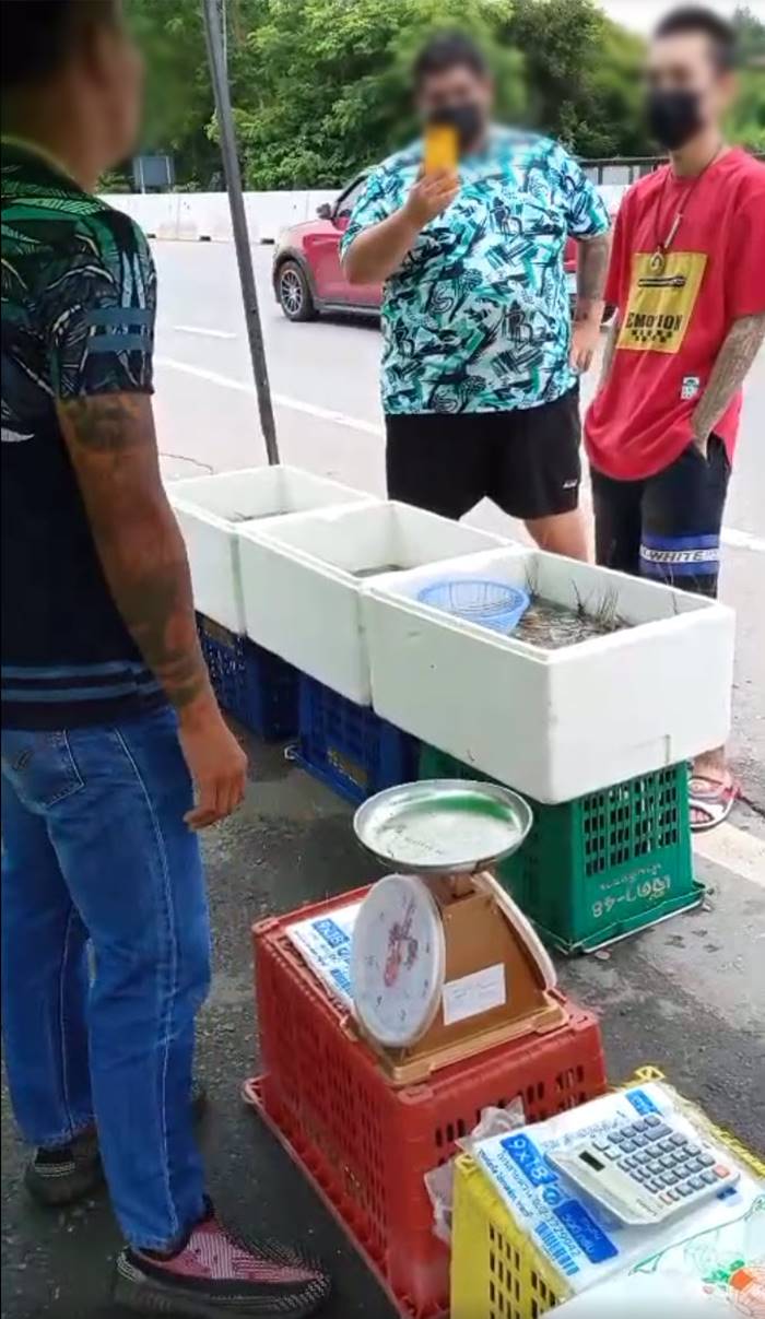 พ่อค้ากุ้งทะเลาะกัน