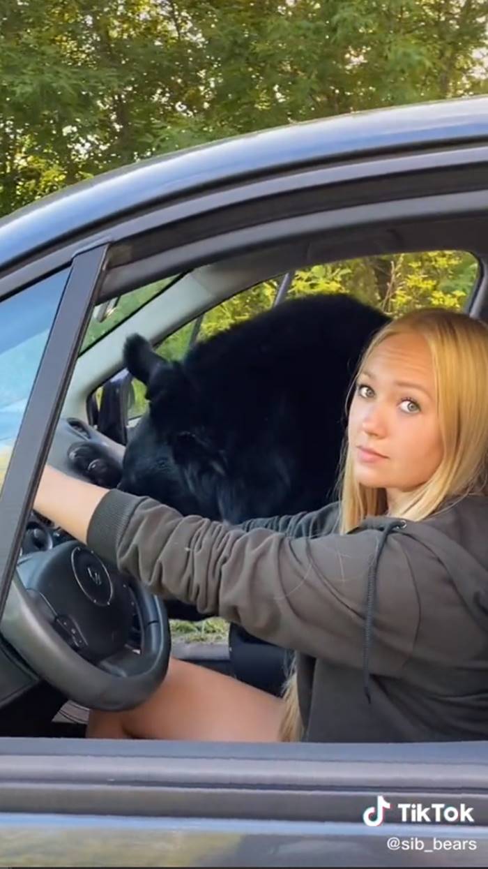 คนกับหมี