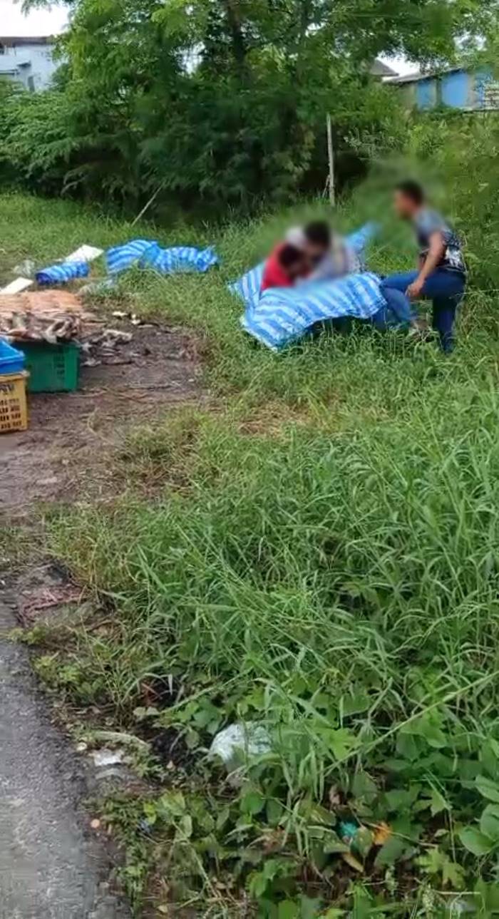 พ่อค้ากุ้งทะเลาะกัน