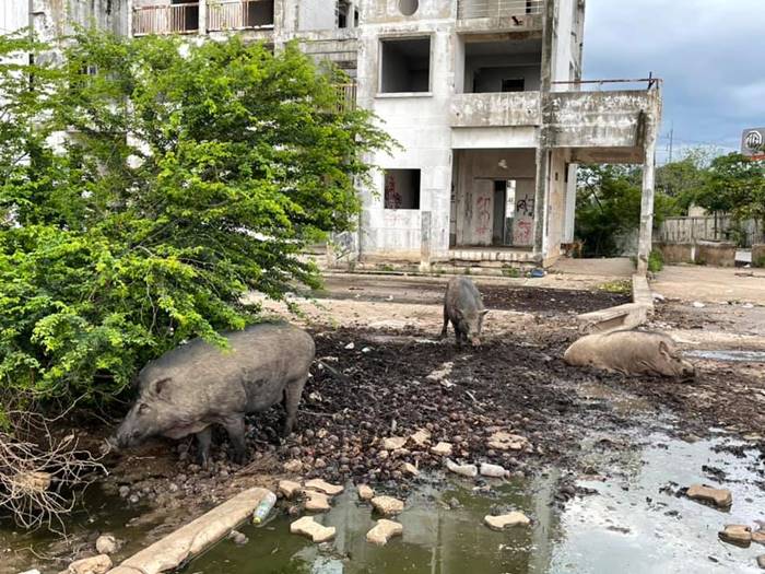 นัชญ์ ทูนหัวของบ่าว