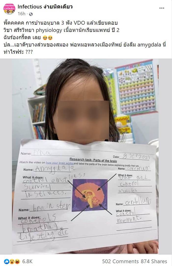 การบ้านเด็กอนุบาล