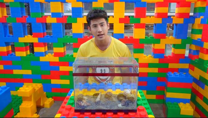 ปูเสฉวน, ยูทูบเบอร์