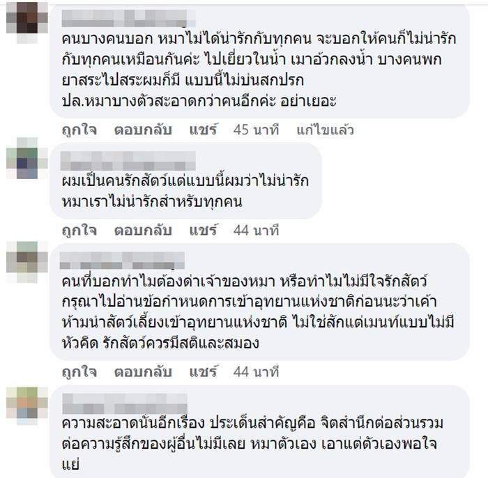 หมาเล่นน้ำตก