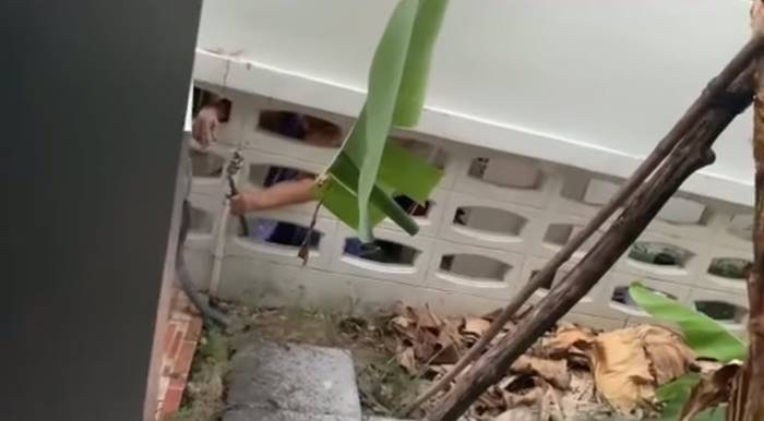 ปัญหาเพื่อนบ้าน