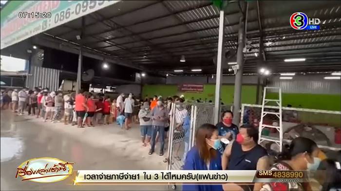 ทุเรียนหมอนทอง