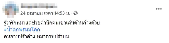 หมาเล่นน้ำตก