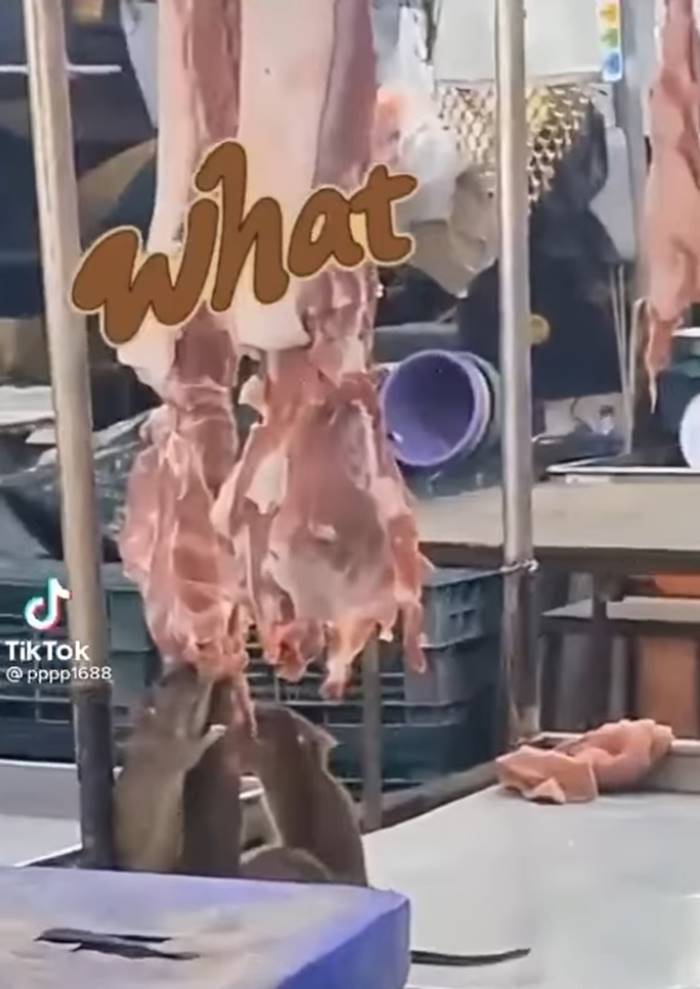 หมูสกปรก