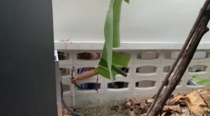 ปัญหาเพื่อนบ้าน