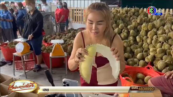 ทุเรียนหมอนทอง