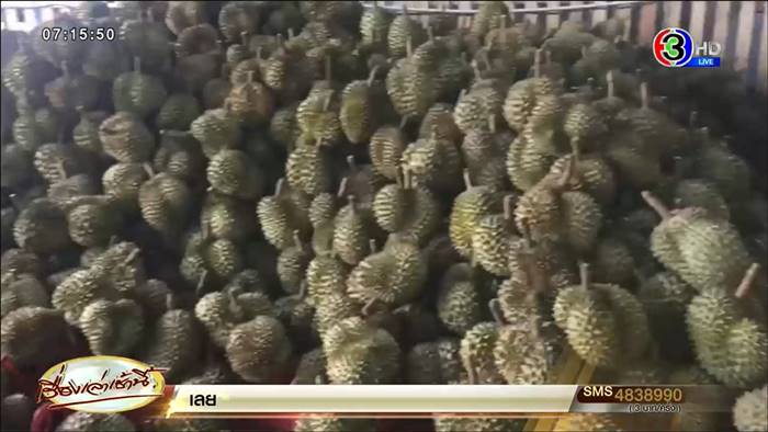 ทุเรียนหมอนทอง