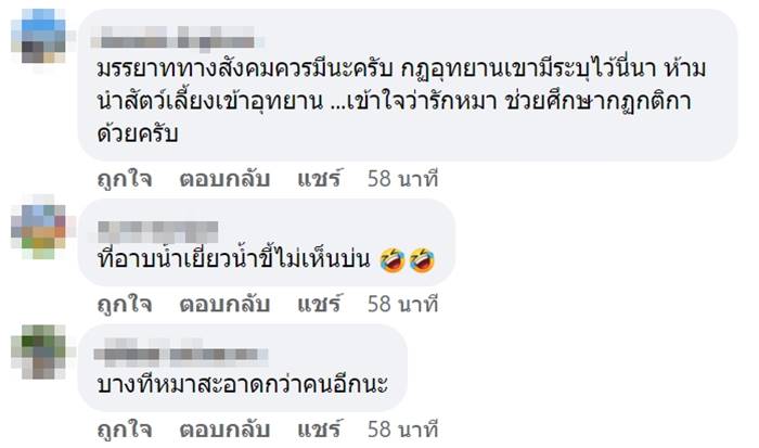 หมาเล่นน้ำตก