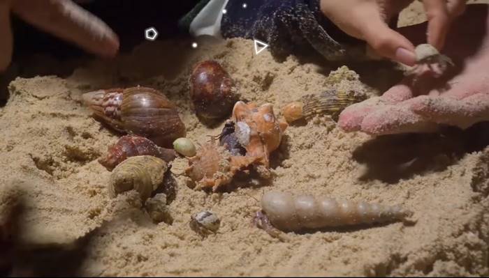 ปูเสฉวน, ยูทูบเบอร์