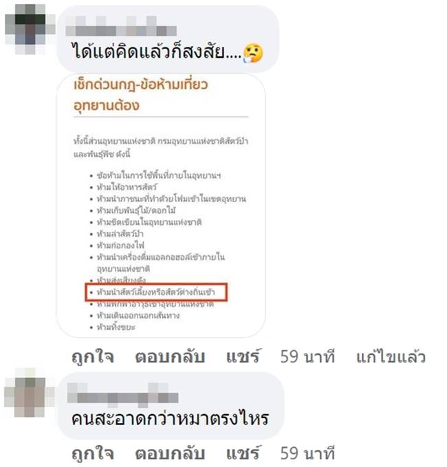 หมาเล่นน้ำตก