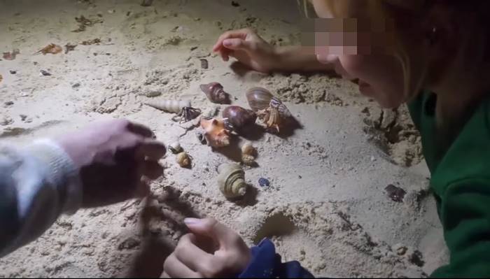 ปูเสฉวน, ยูทูบเบอร์