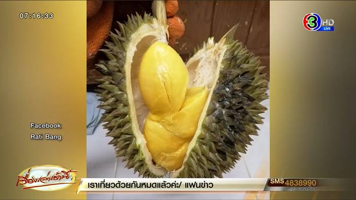 ทุเรียนหมอนทอง