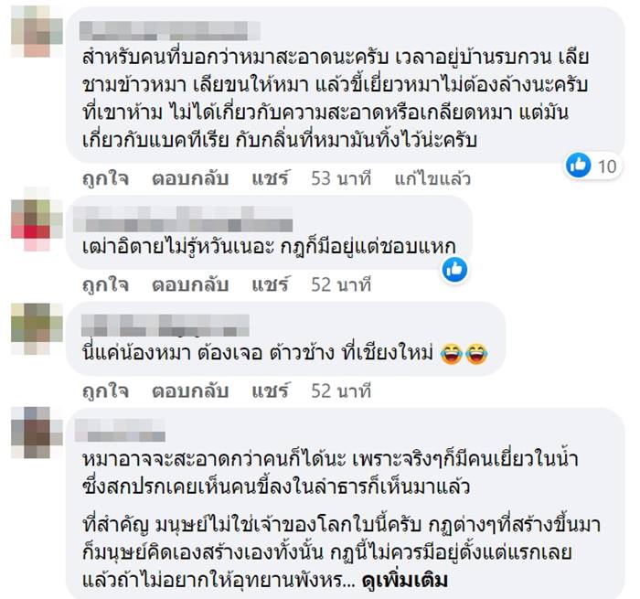 หมาเล่นน้ำตก