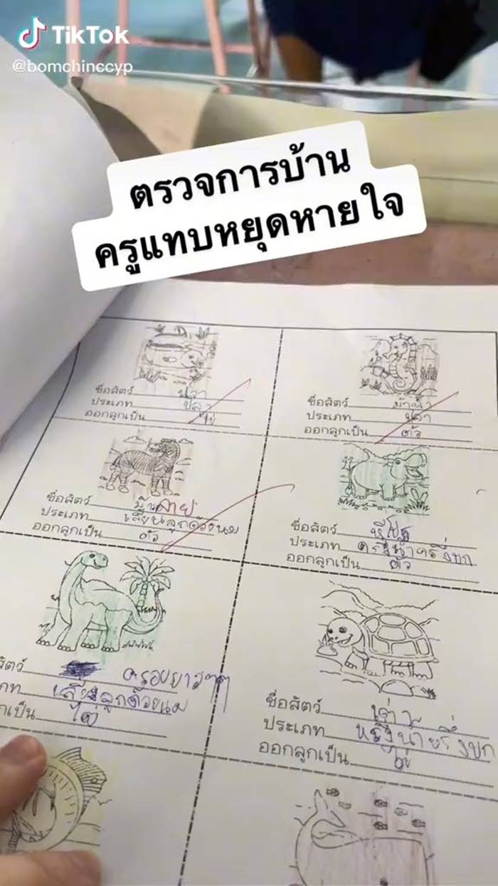 การบ้านเด็ก