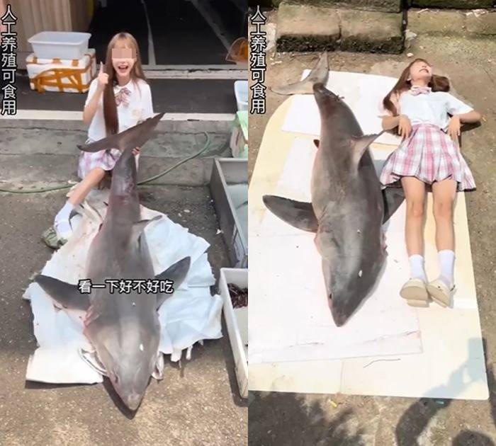 กินฉลามขาว