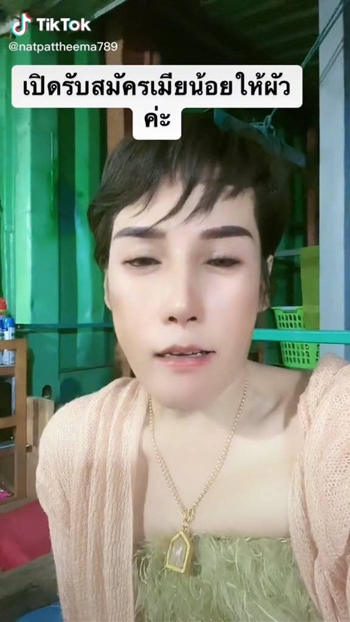 หาเมียน้อย