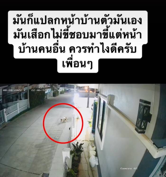 ปัญหาเพื่อนบ้าน