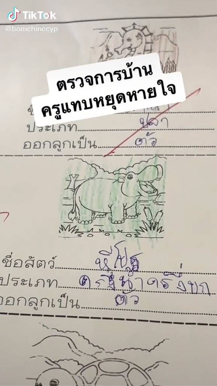 การบ้านเด็ก