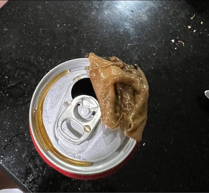 เชื้อราน้ำอัดลม