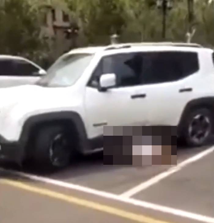 รถเหยียบคน