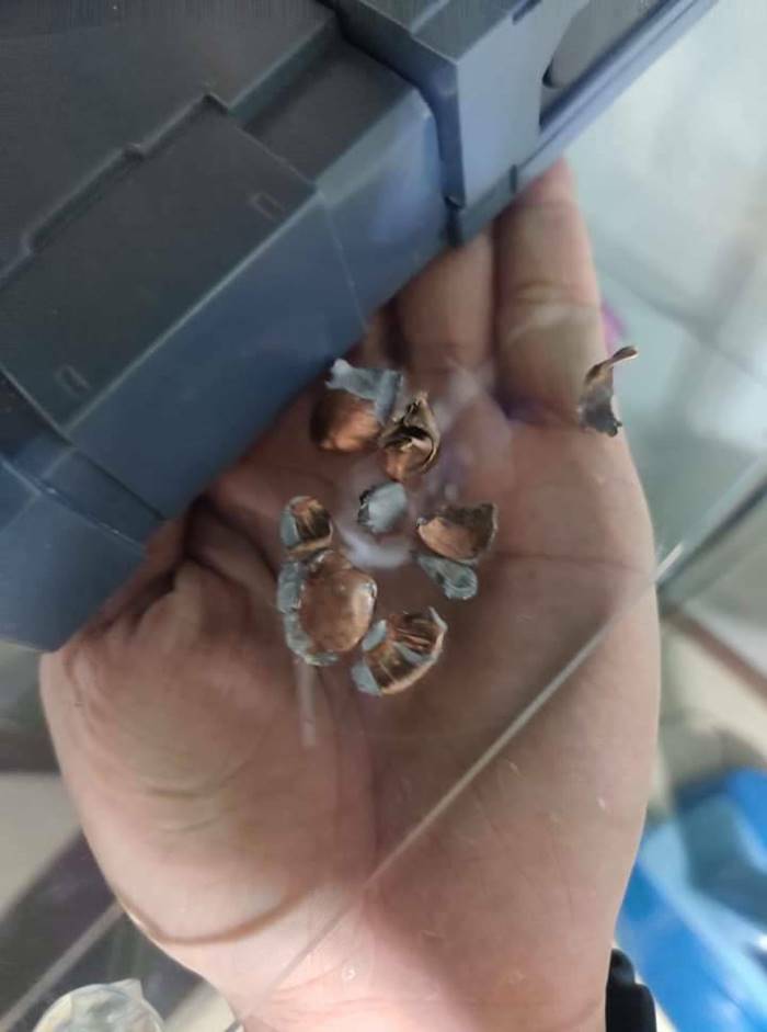 มอส คลองขวาง