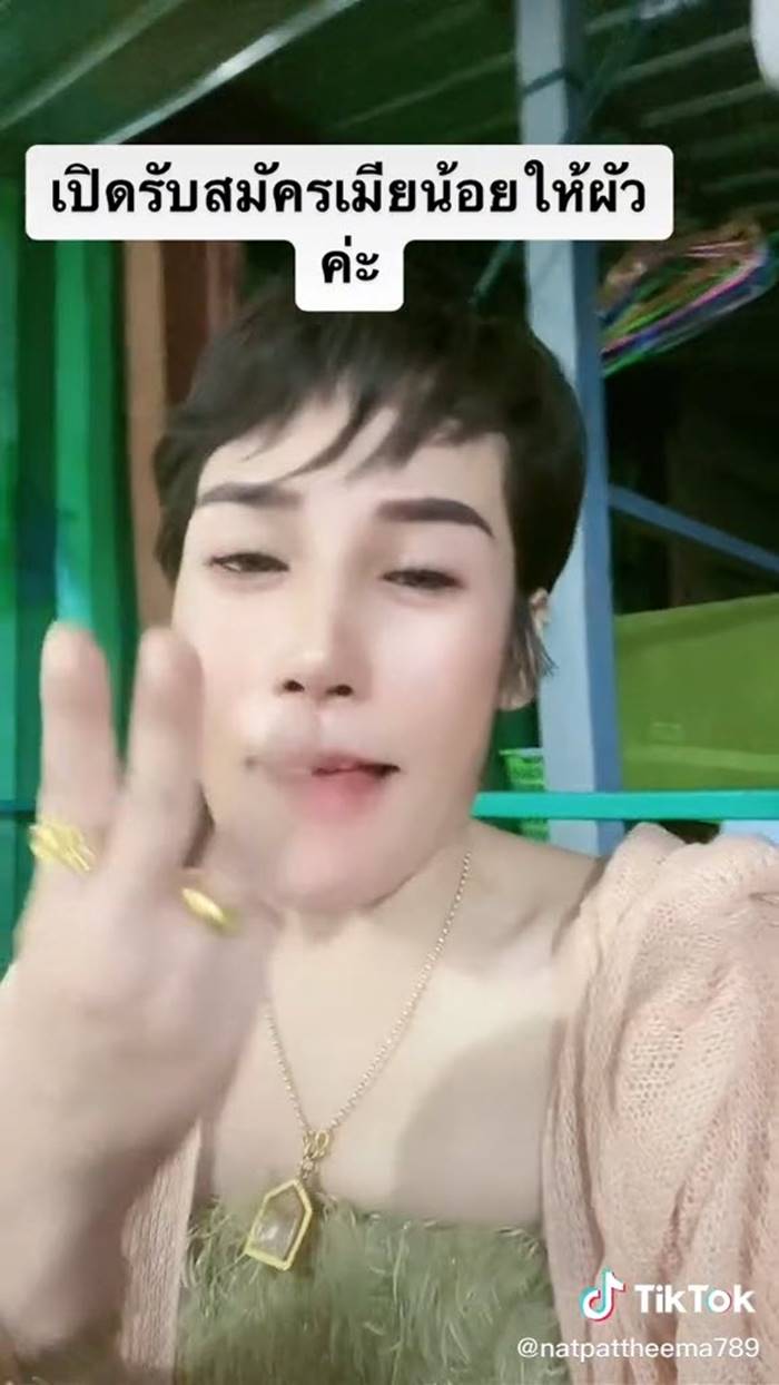 หาเมียน้อย