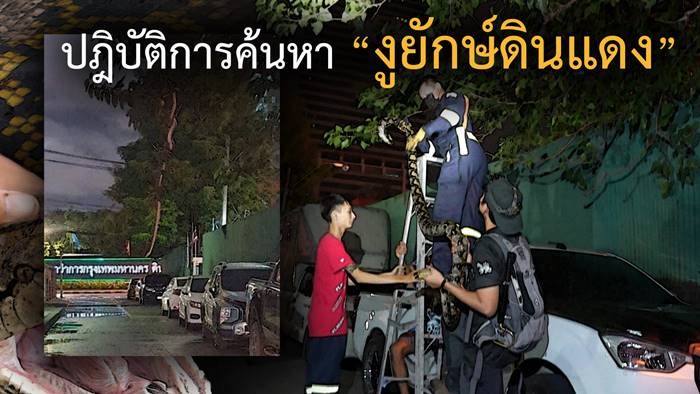 งูยักษ์ดินแดง