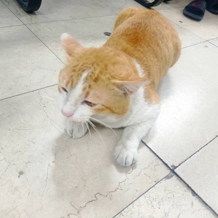 หนีออกจากบ้าน, ปัญหาครอบครัว