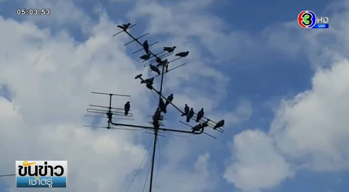 ปัญหาเพื่อนบ้าน