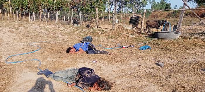 กินเหล้า