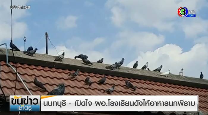 ปัญหาเพื่อนบ้าน