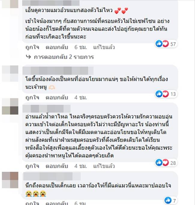 หนีออกจากบ้าน, ปัญหาครอบครัว