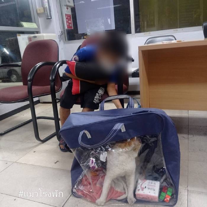 หนีออกจากบ้าน, ปัญหาครอบครัว