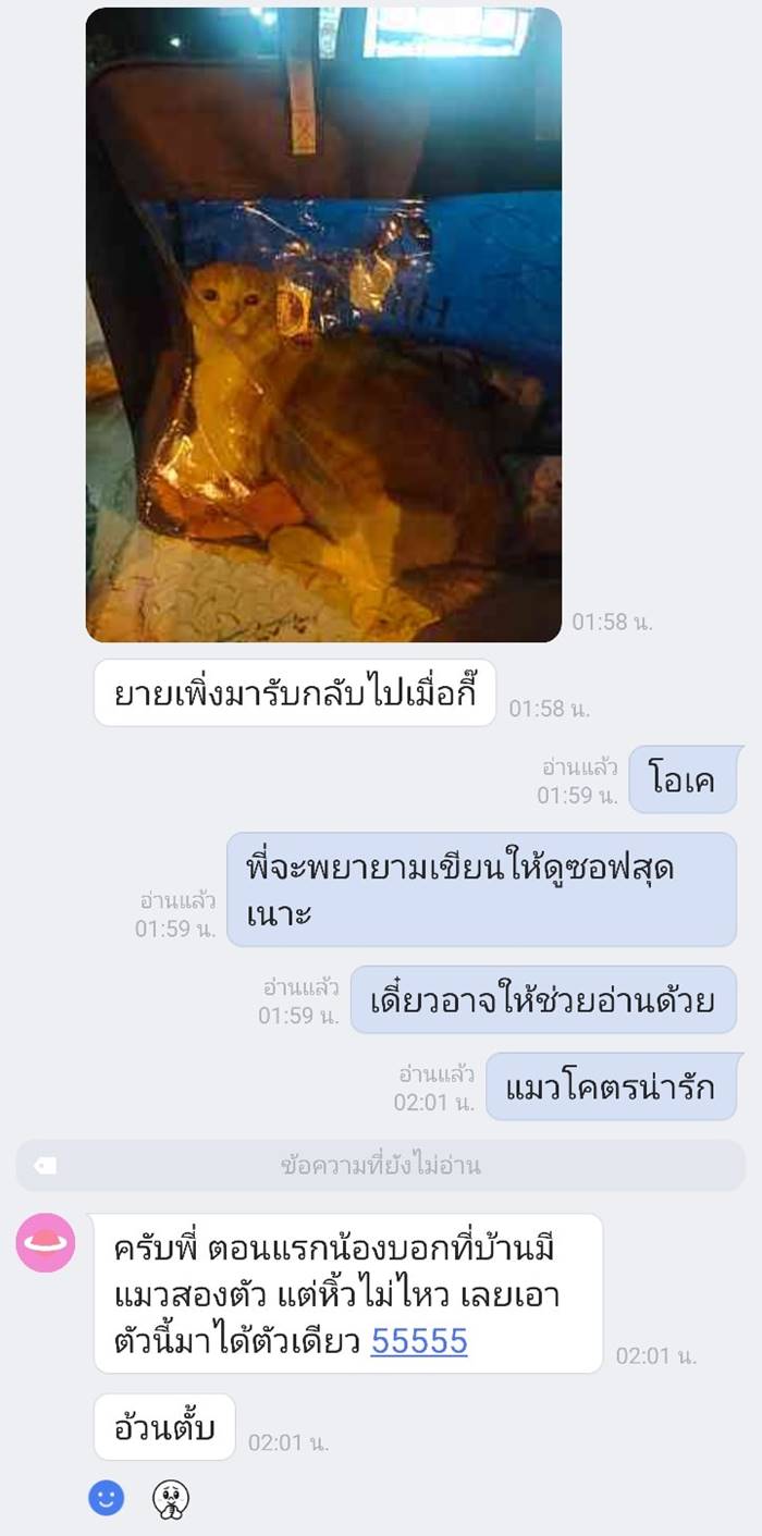 หนีออกจากบ้าน, ปัญหาครอบครัว