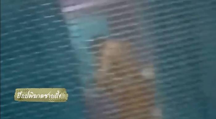 พระไปเที่ยว,พระปลอม