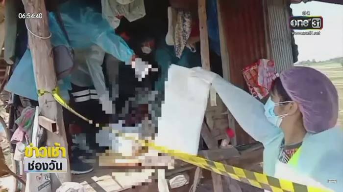 ข่มขืนหมา