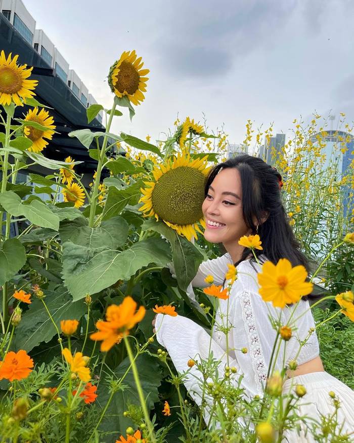 พิมรี่พาย, แพรี่พาย