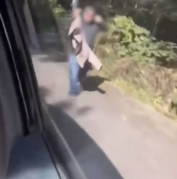  ผึ้งต่อยคน