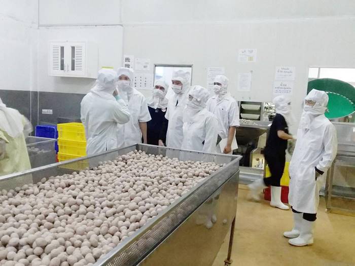  ลูกชิ้นวัวผสมหมู