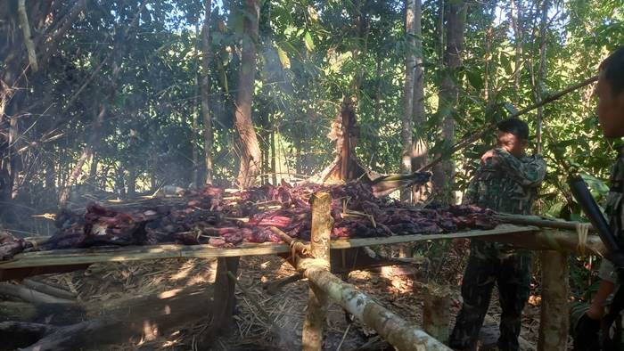  เสือโคร่ง