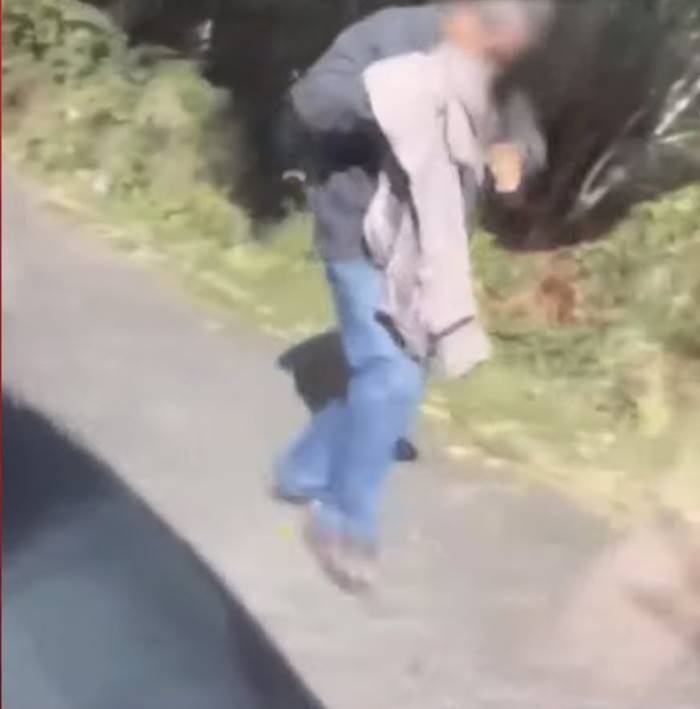  ผึ้งต่อยคน