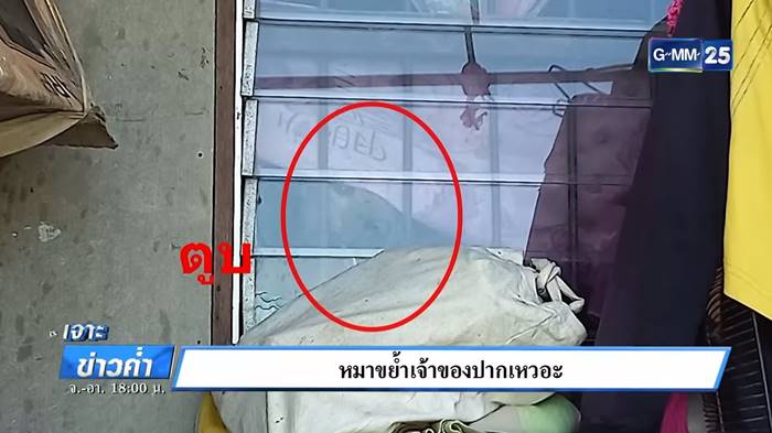 หมากัดปาก