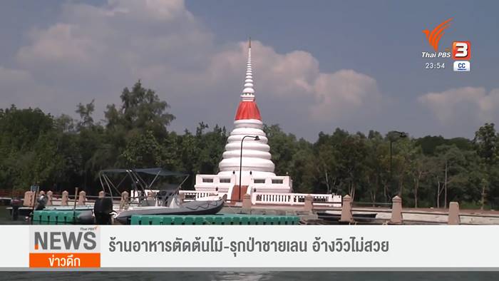 ตัดป่าโกงกาง