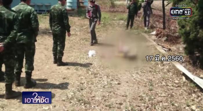 ชัยภูมิ ป่าแส