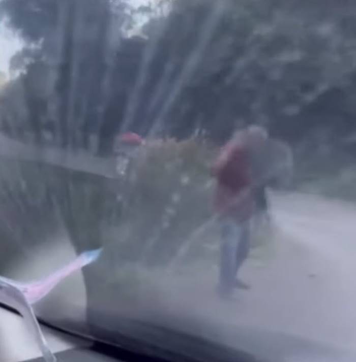  ผึ้งต่อยคน