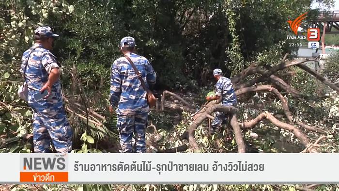 ตัดป่าโกงกาง