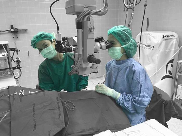 ตำรวจชนหมอกระต่าย